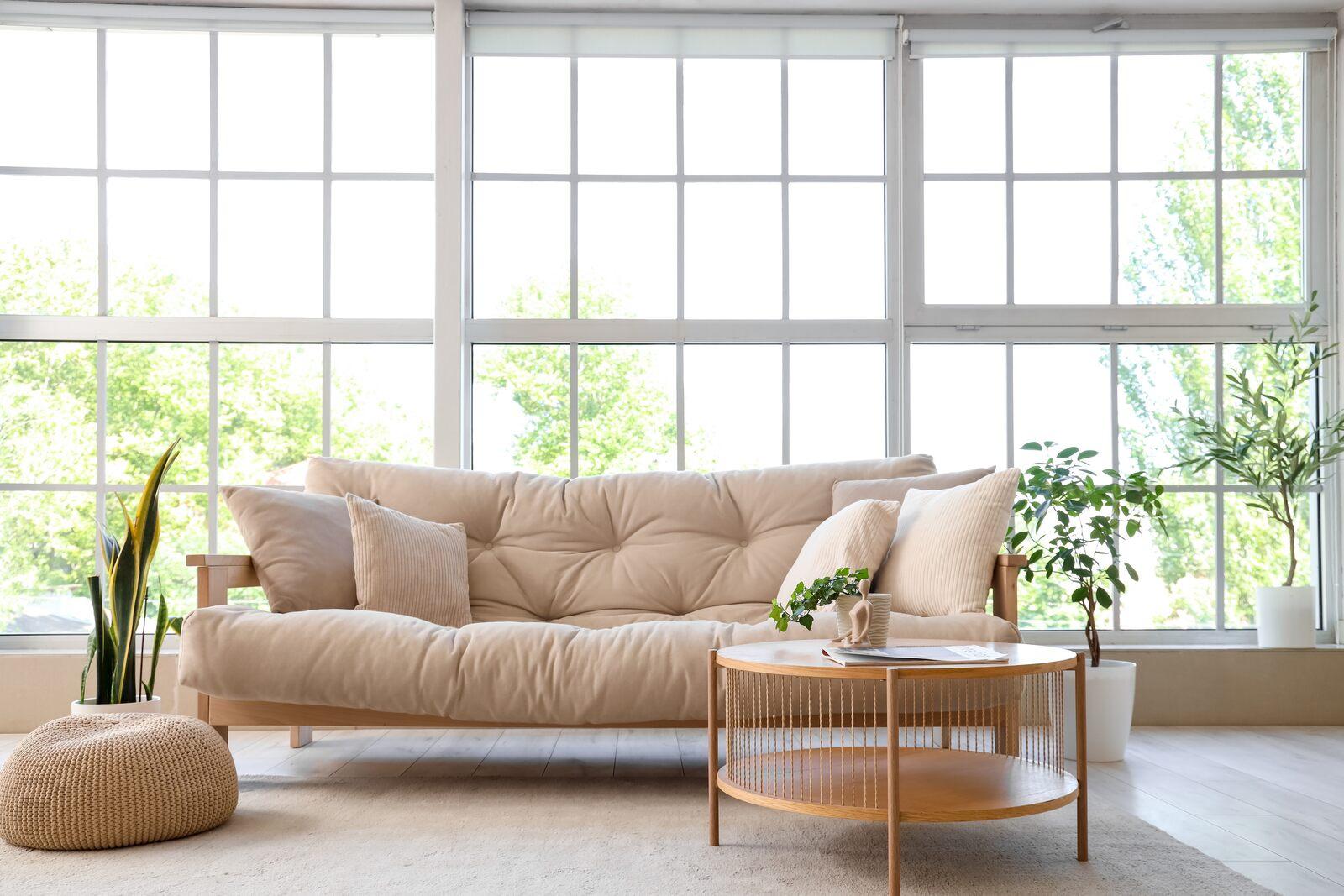 Bright sunlight view of living room with creme couch and plants
